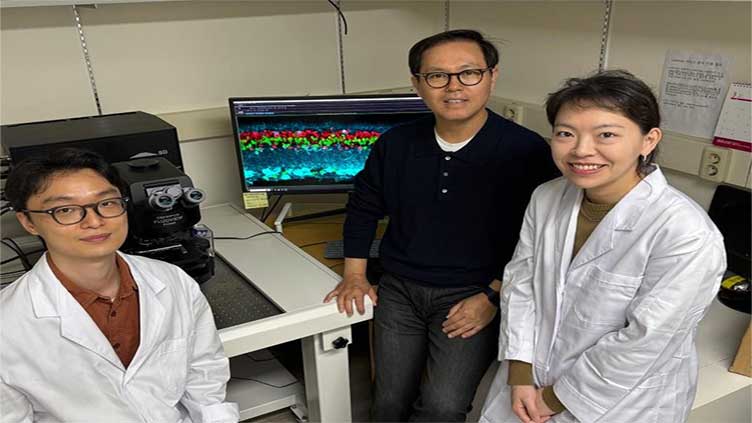 Breakthrough drug restores vision: Researchers reverse retinal damage