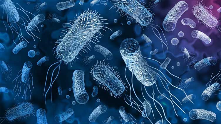 Artificial sweetener helps overcome antibiotic resistance