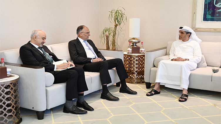 Dubai govt briefed on Pakistan's economy vision